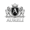 Translation missing: en.Aureli accessibility.home